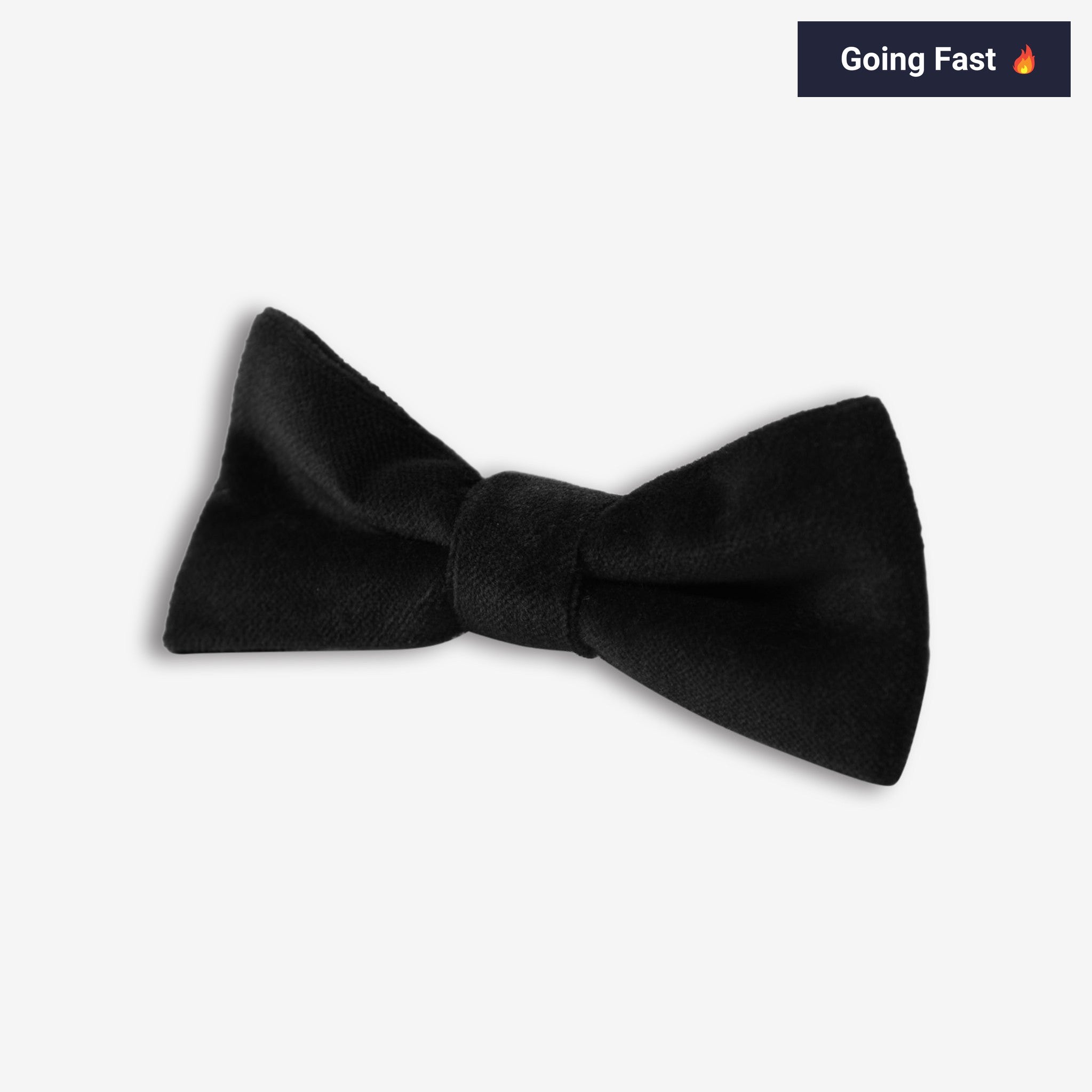 Appaman Best Quality Kids Clothing Boys Bow Ties Bow Tie | Black Velvet