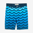 Appaman Best Quality Kids Clothing Boys Swim Quick Dry Hybrid Shorts | Wavy Blue