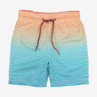 Appaman Best Quality Kids Clothing Boys Swim Swim Trunks | Dots