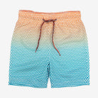 Appaman Best Quality Kids Clothing Boys Swim Swim Trunks | Dots